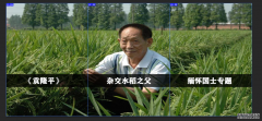 豆豆观察哨 介绍